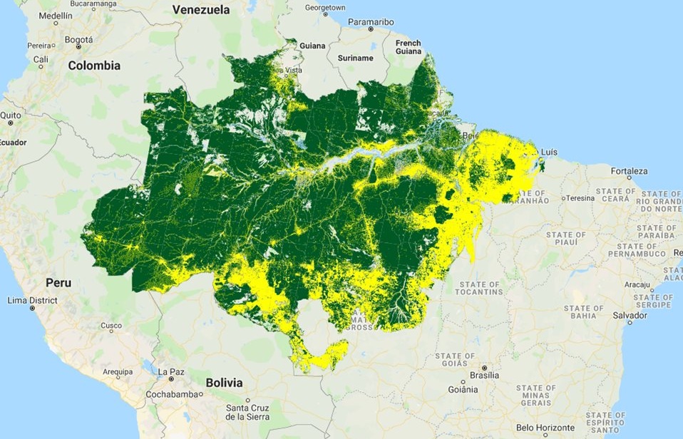 Bolsonaro diz que Brasil não precisa de dinheiro da Alemanha para preservar Amazônia