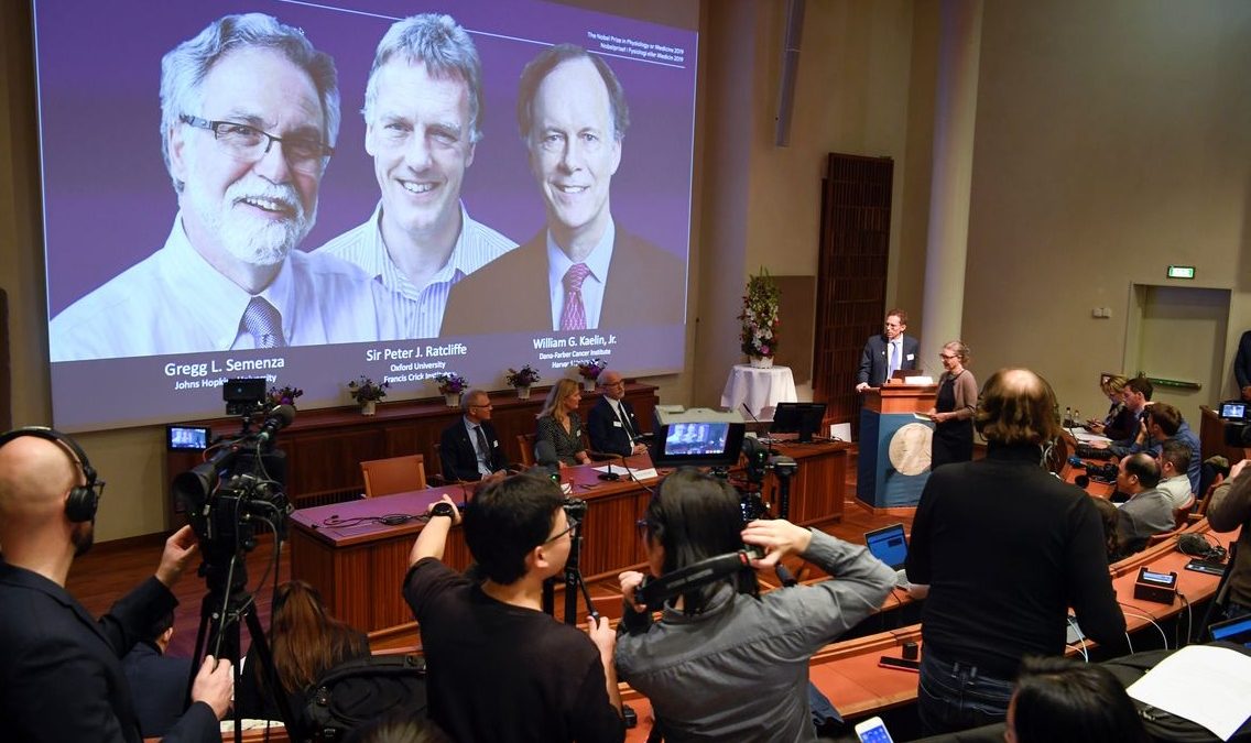 Nobel de Medicina sai para dois americanos e um inglês