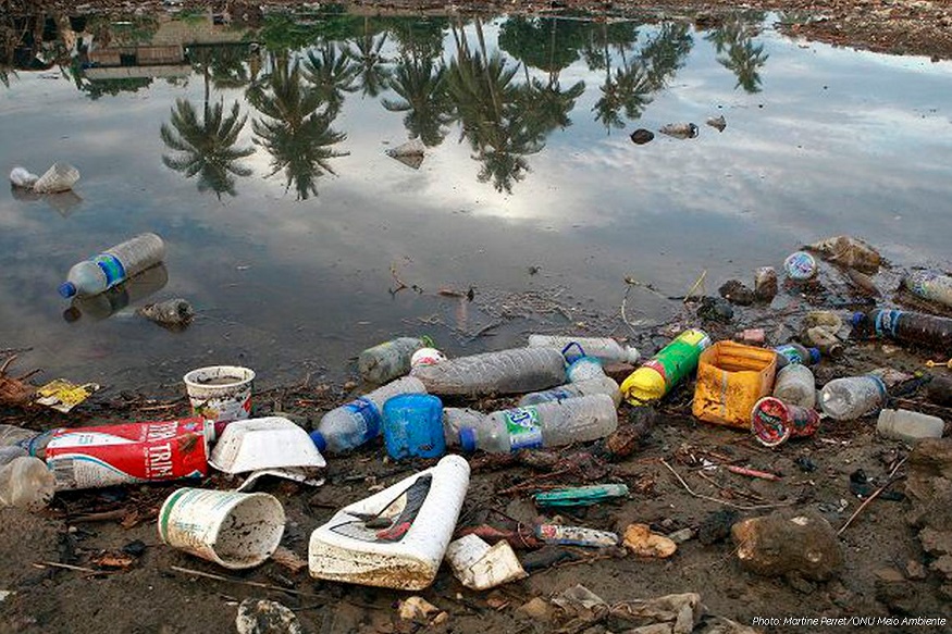 Pesquisa mostra que plástico acumulado no fundo do mar não se decompõe
