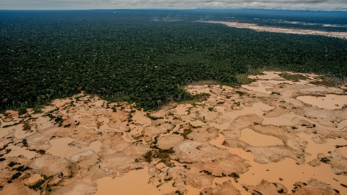 Desmatamento na Amazônia aumenta 103,7% em novembro e bate recorde