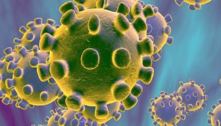 Brasil tem 13 casos de coronavírus confirmados