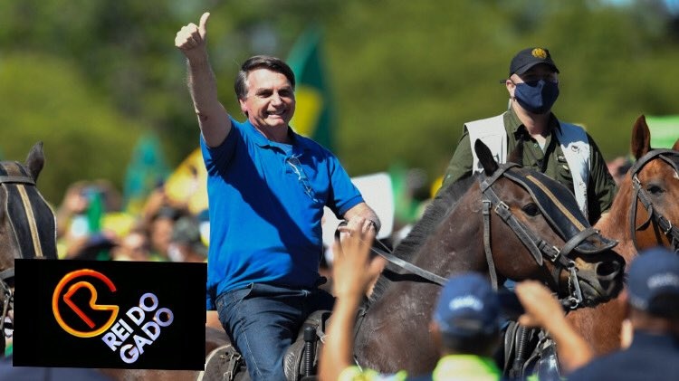 Bolsonaro desfila a cavalo em Brasília e internautas não perdoam: rei do gado