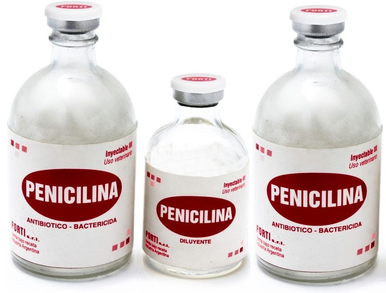 Penicilina