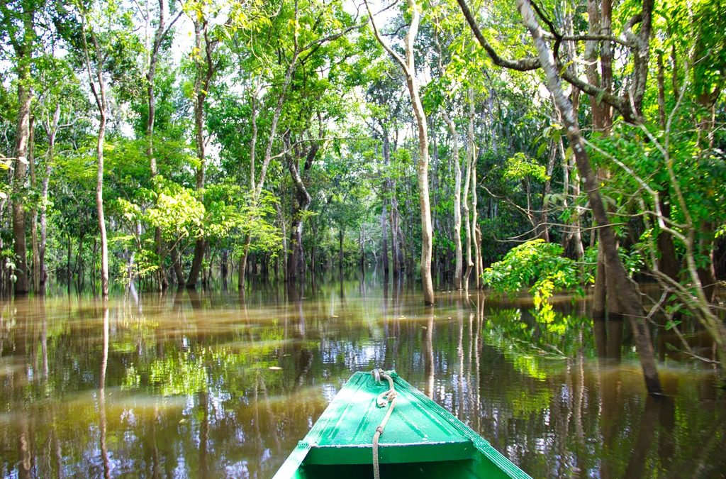 Amazonas: Turismo de isolamento é um dos destaques no coração verde do mundo