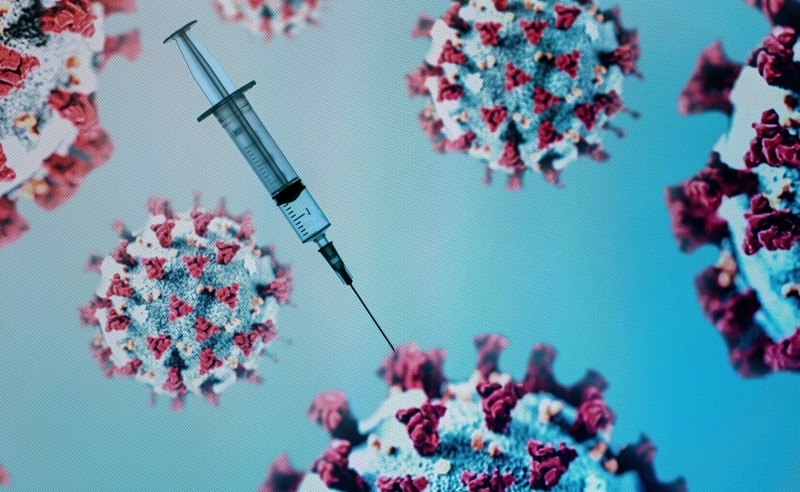 A Guerra das Vacinas