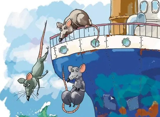 Quando os ratos abandonam o navio…