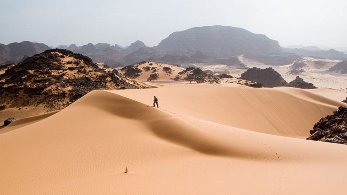 Perdido num Deserto. A caminhada necessária – por Bolivar Meirelles