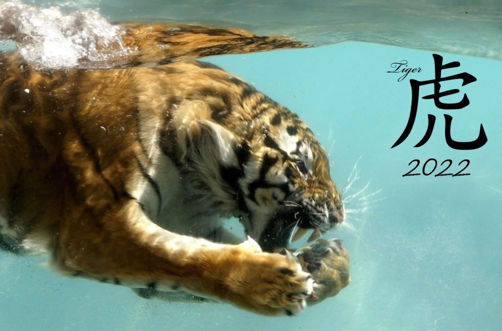 2022 é o ano do Tigre da Água – por Amirah Sharif
