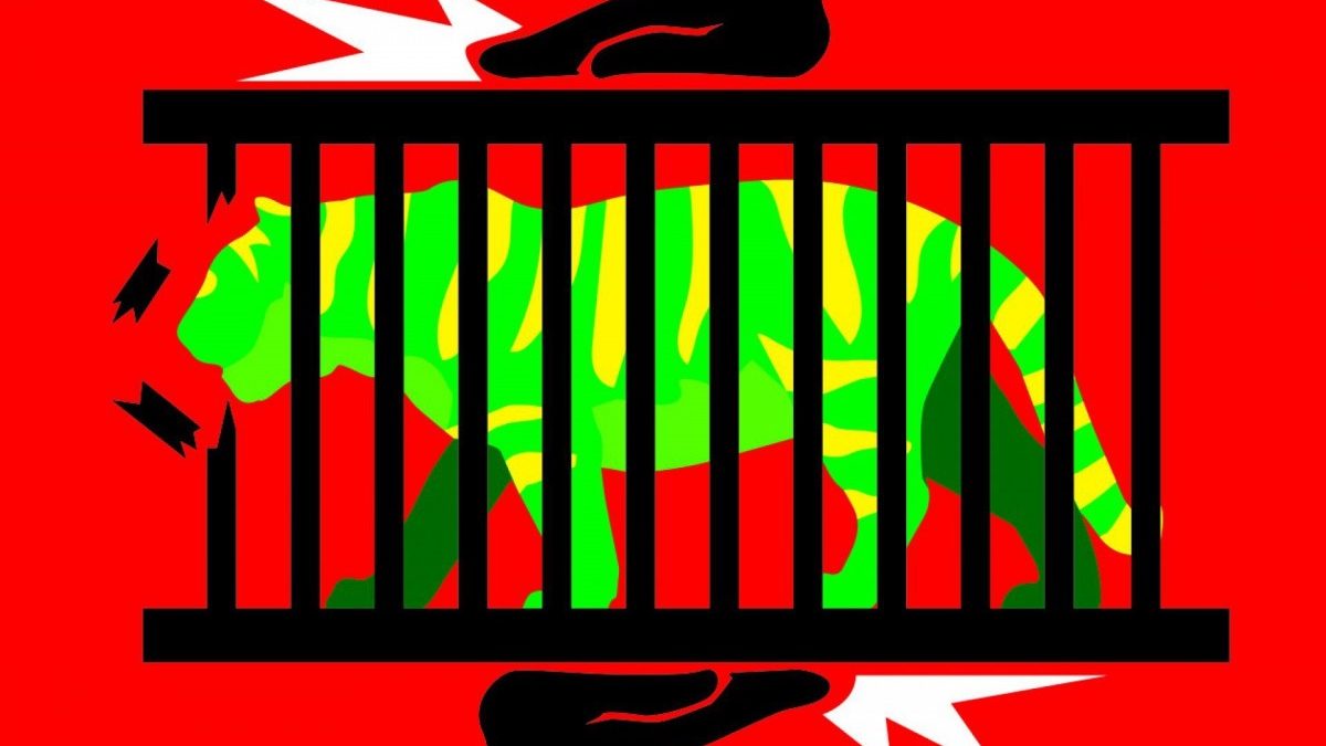 Tigrada na jaula, mas com porta aberta – por João Batista Damasceno
