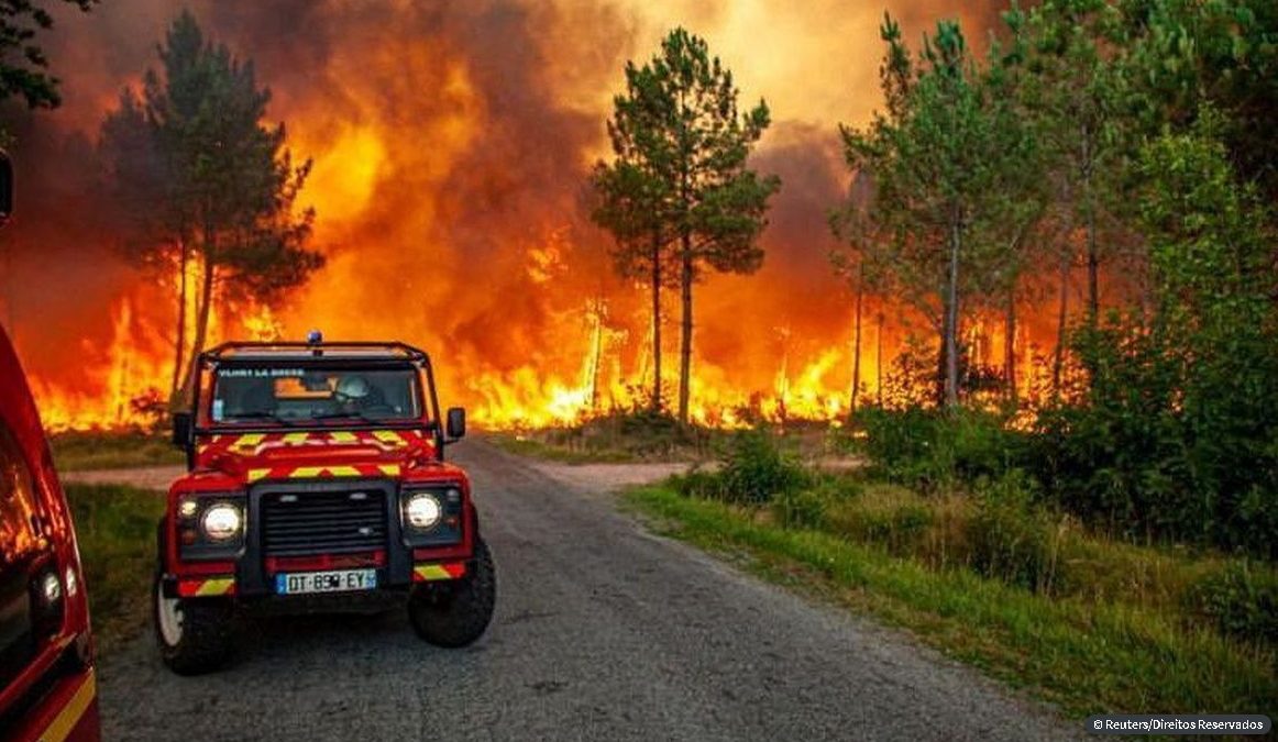 Incêndios em Portugal e a pouca vergonha continua – por Sérgio Vieira