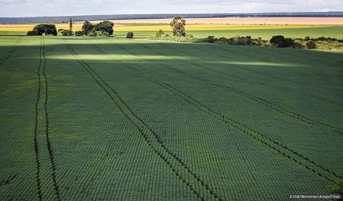 Produtores querem mostrar sustentabilidade da agropecuária na COP27