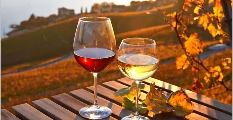 O outono é uma ótima oportunidade para saborear diferentes tipos de vinhos. (Foto: Shutterstock / Portal EdiCase)